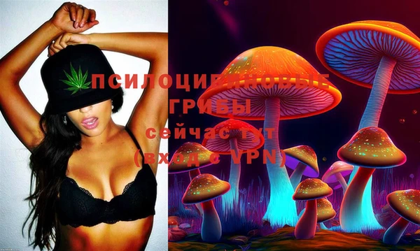 твердый Абинск