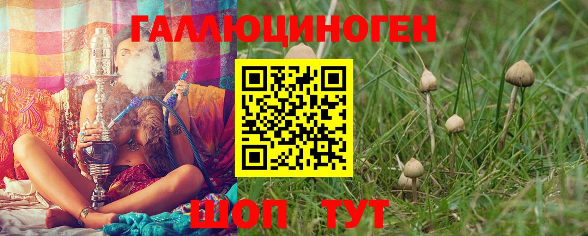 Псилоцибиновые грибы MAGIC MUSHROOMS  Вход с VPN  Батайск 